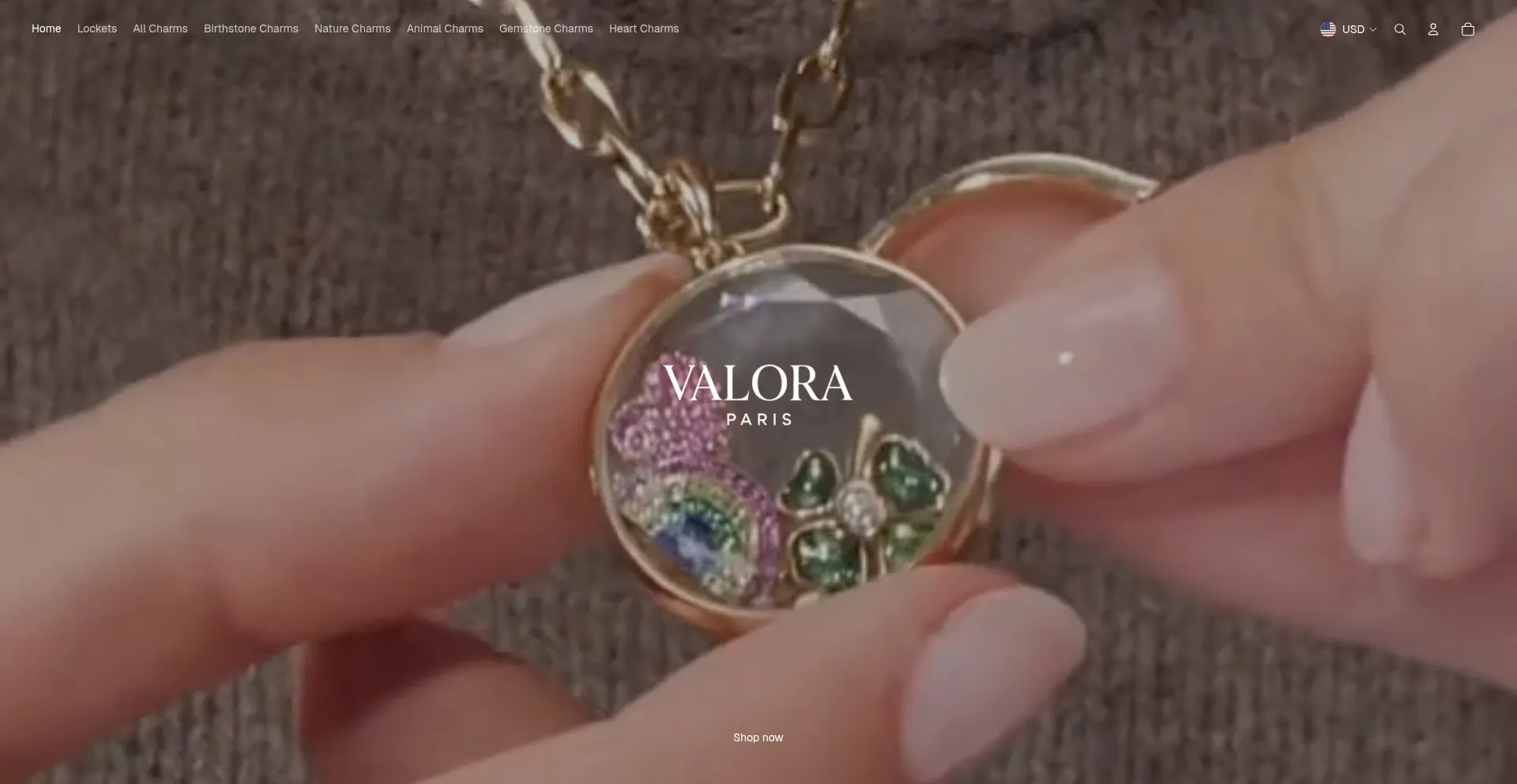 Website screenshot of Valoraparis.com