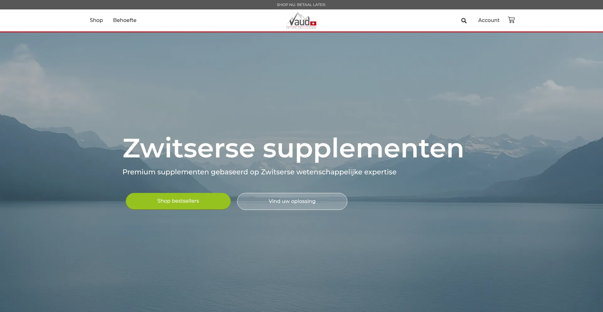 Website screenshot of Vaud.nl
