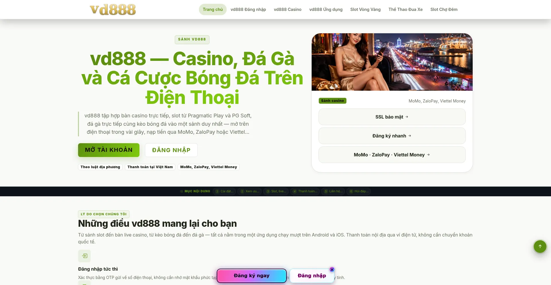 Vd888.bid