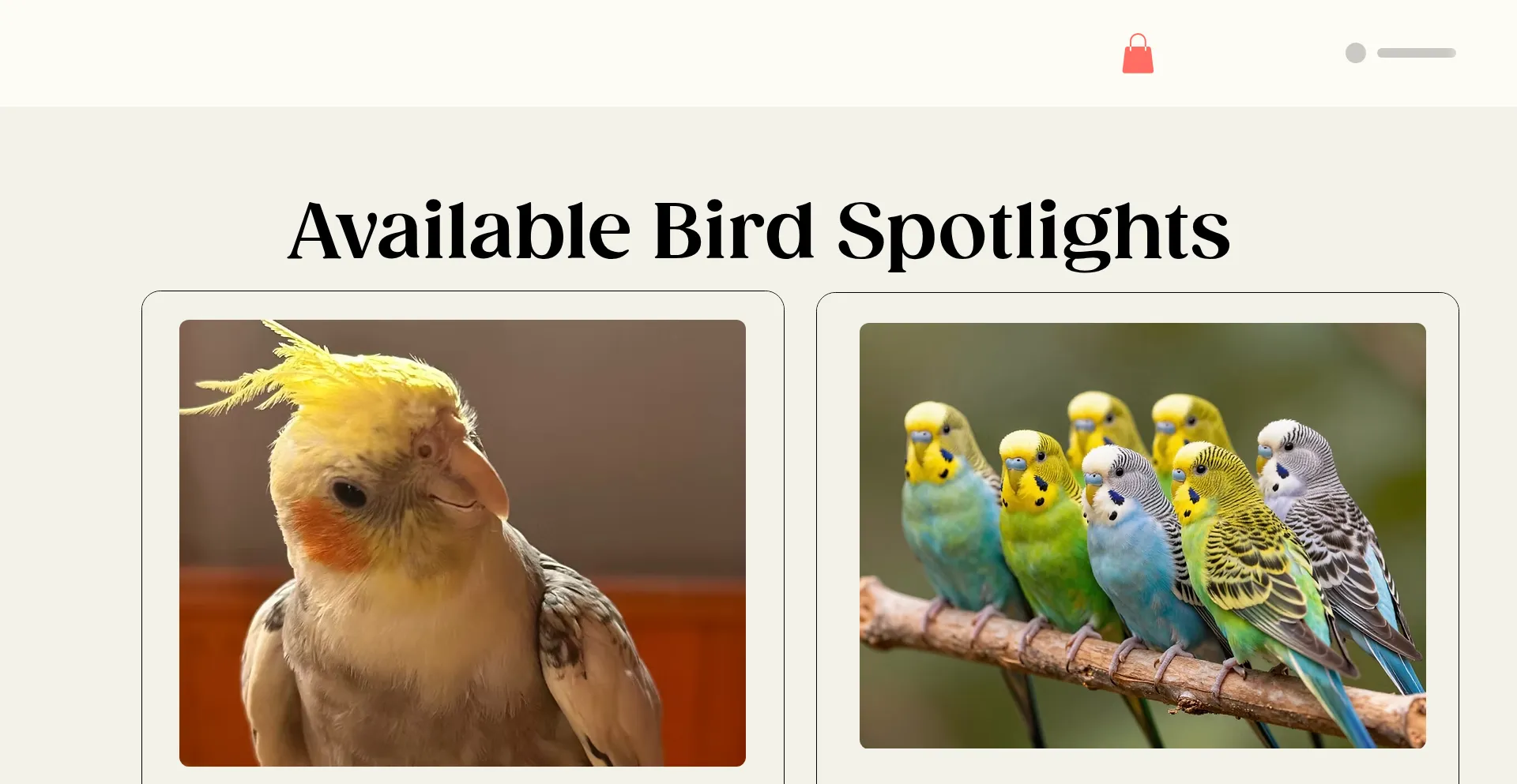Vegasbirdman.com