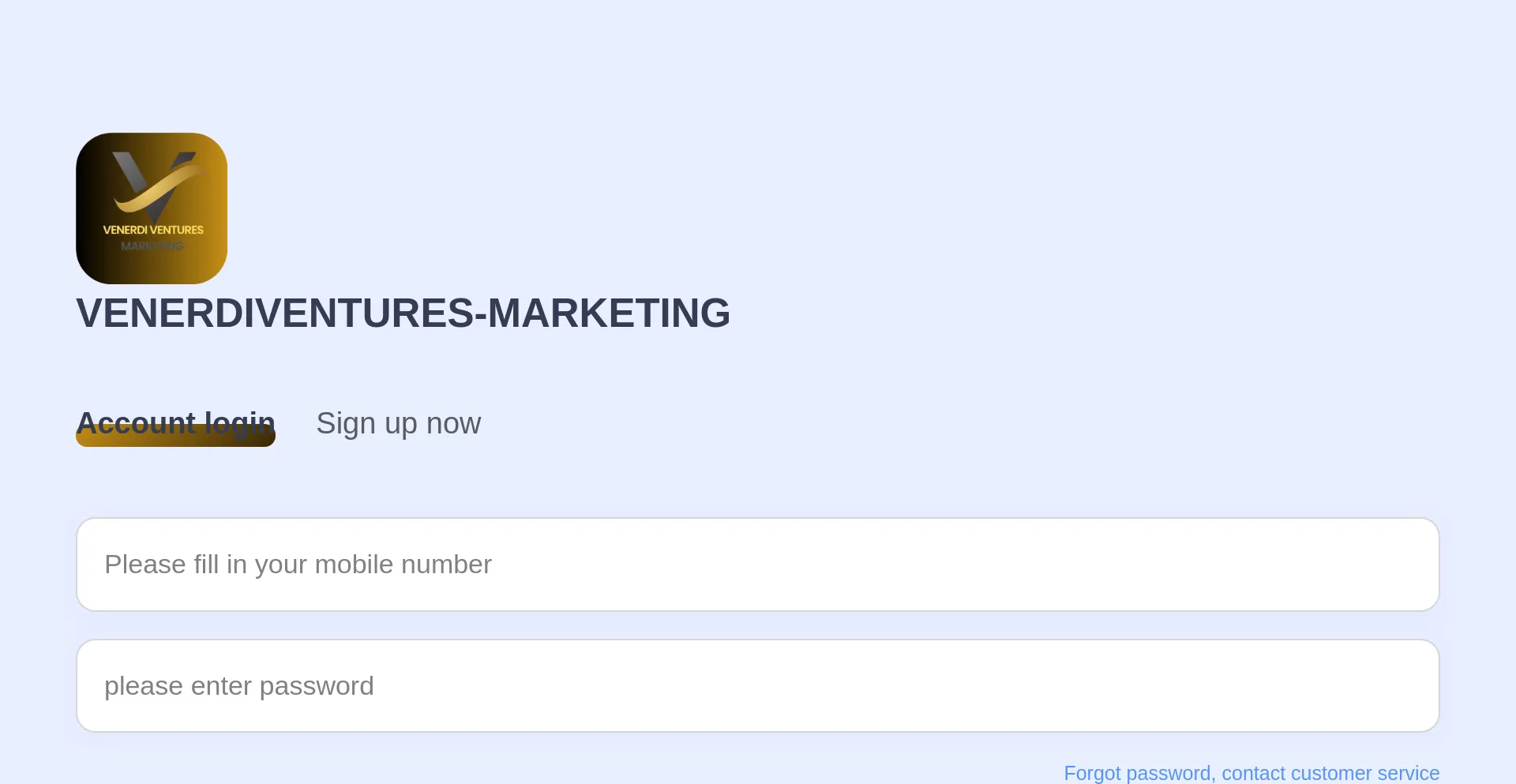 Website screenshot of Venerdiventures-marketing.com