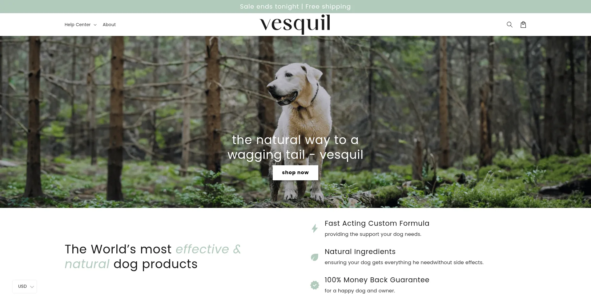 Website screenshot of Vesquil.com