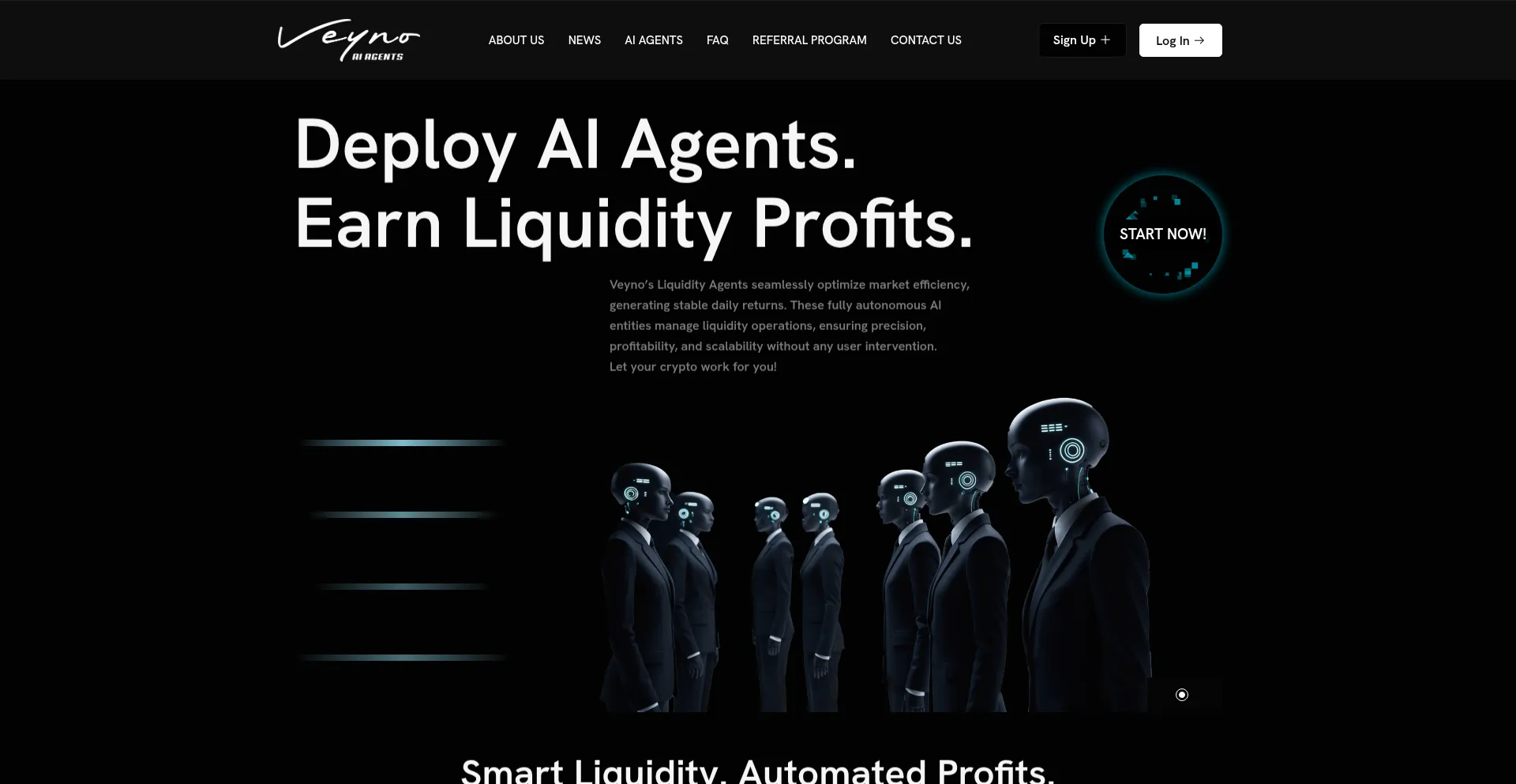 Website screenshot of Veyno.io