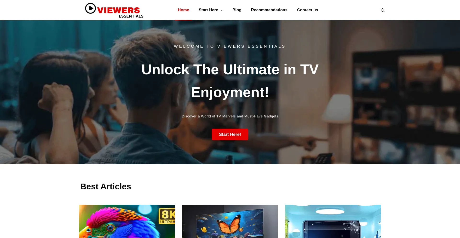 Website screenshot of Viewersessentials.com