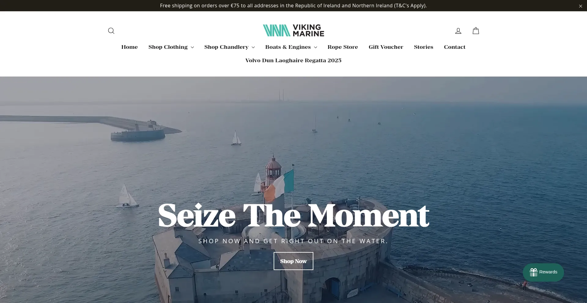 Website screenshot of Vikingmarine.ie