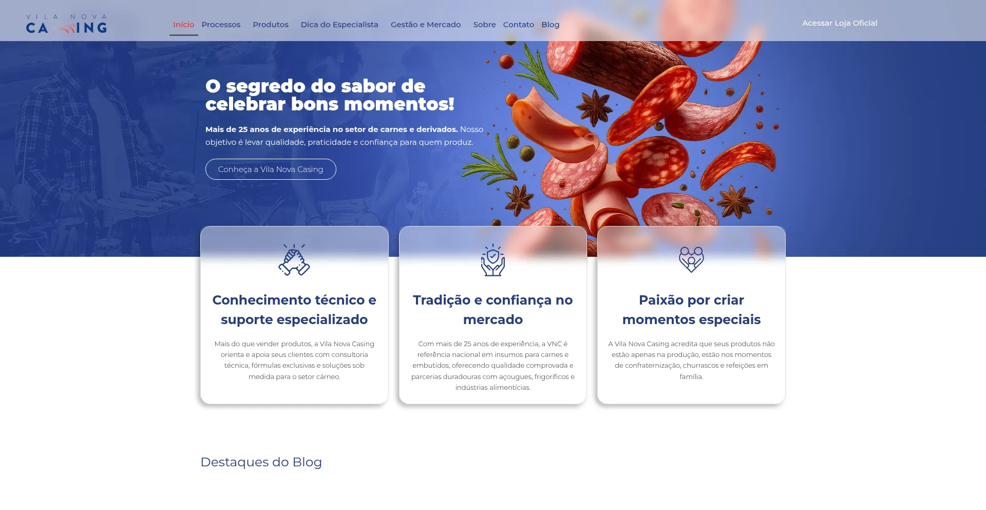 Vilanovacasing.com