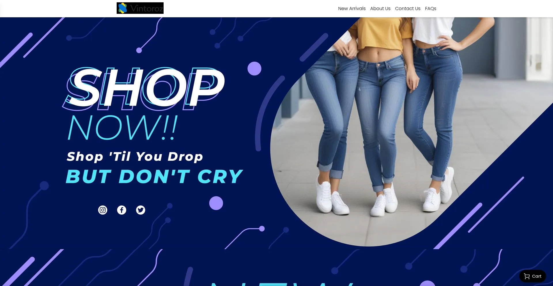 Website screenshot of Vintoroz.com