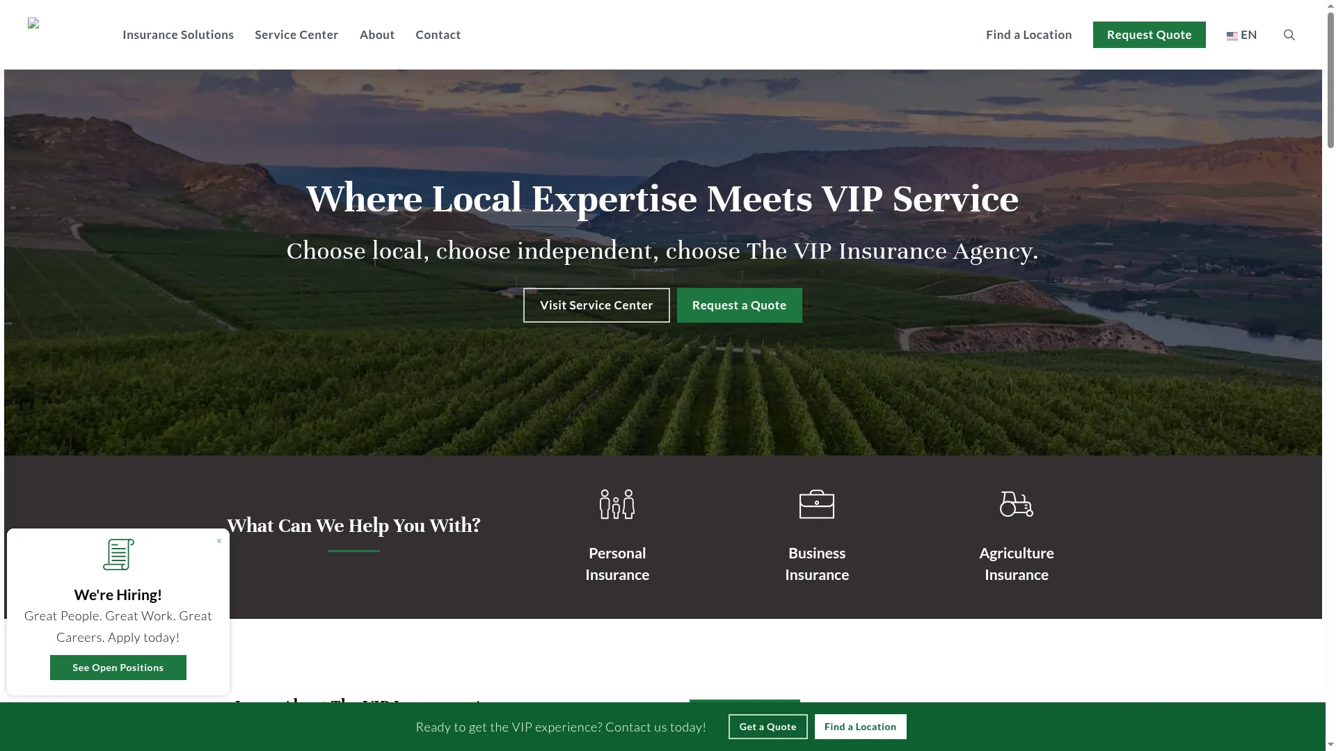 Vipagencygroup.com