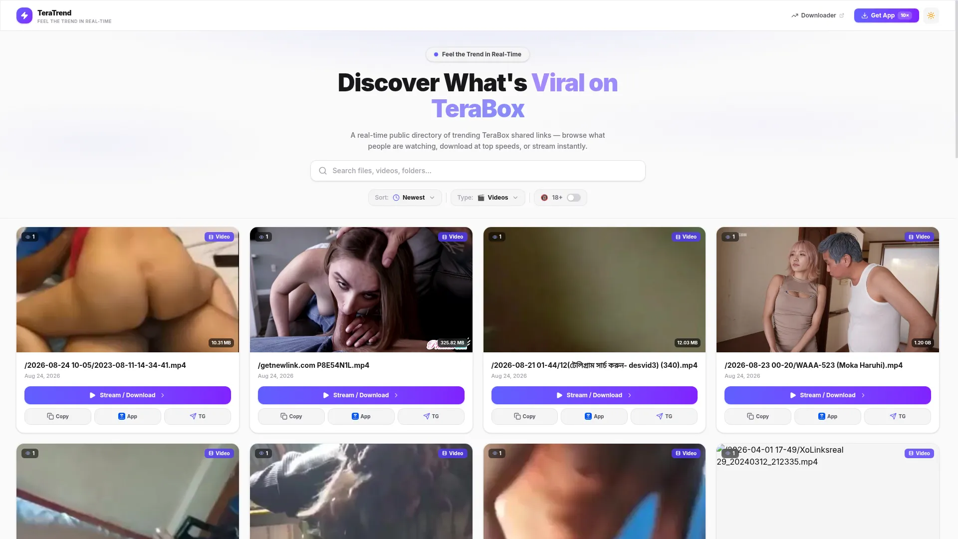 Viral.teraboxdl.site