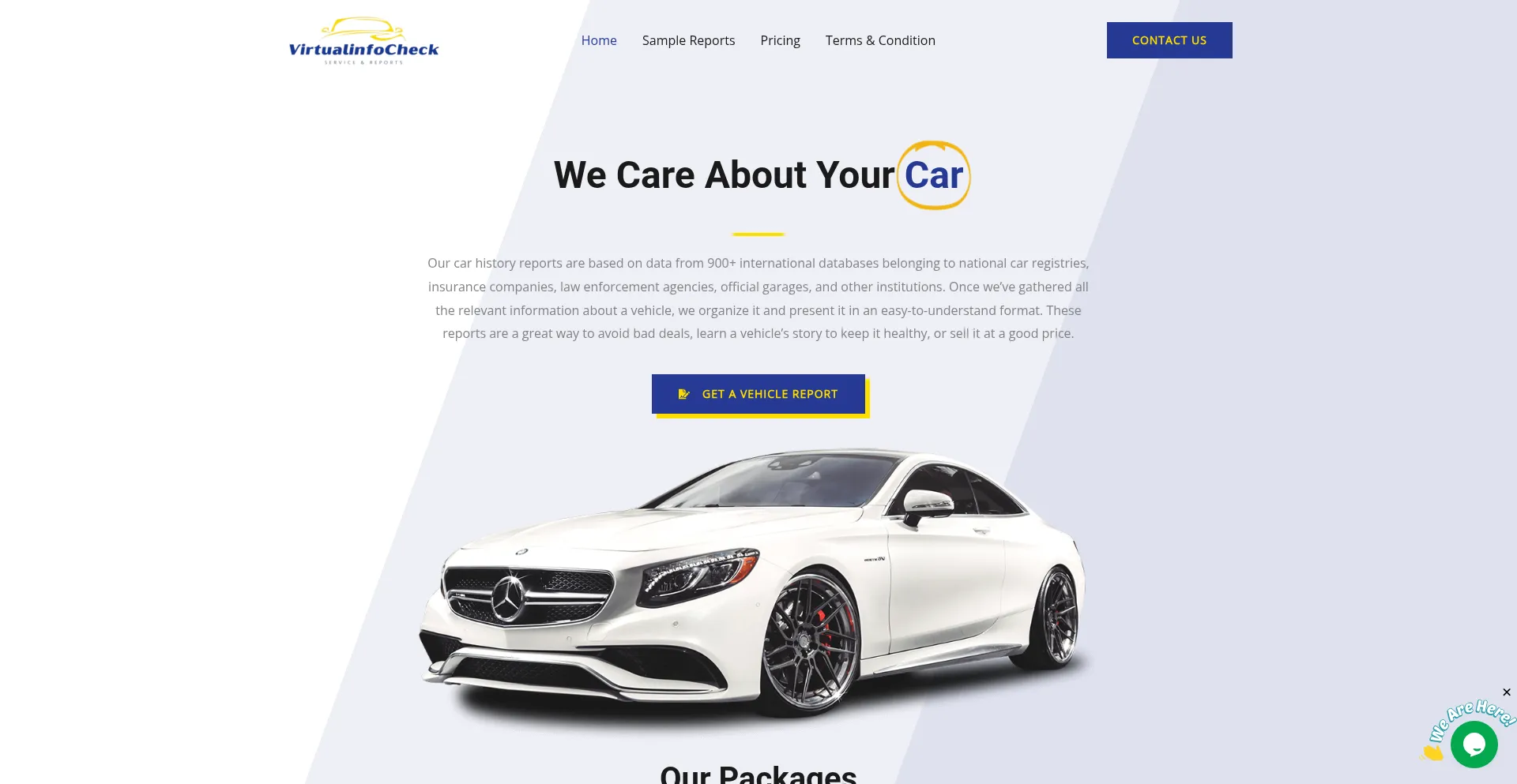 Website screenshot of Virtualinfocheck.com