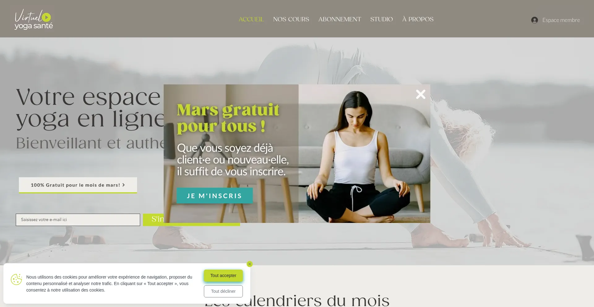 Virtuelyogasante.ca