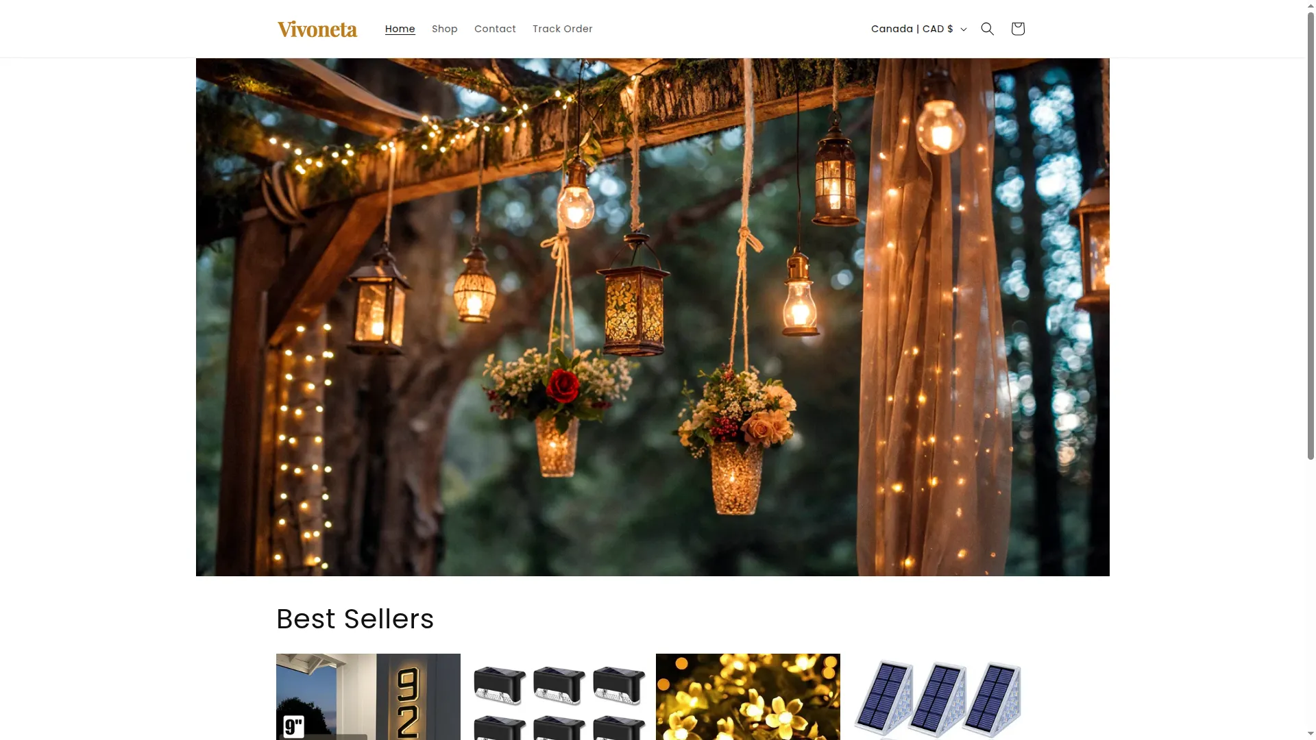 Vivoneta.com