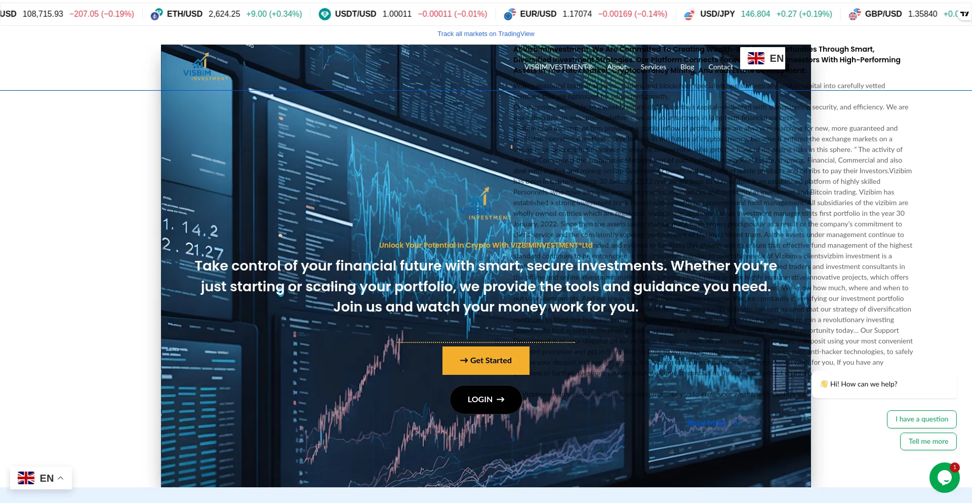 Website screenshot of Vizbiminvestment.com