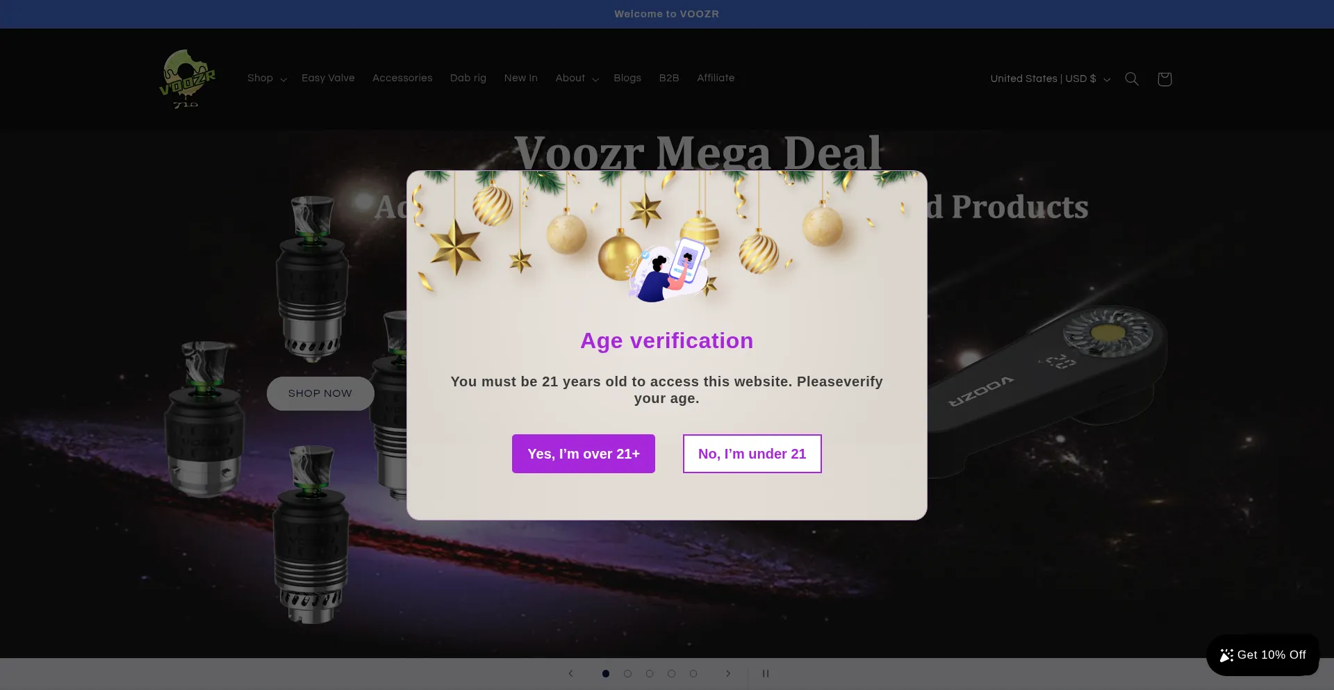 Website screenshot of Voozr.com