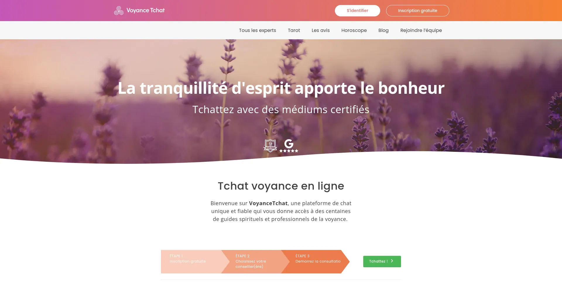 Website screenshot of Voyancetchat.fr