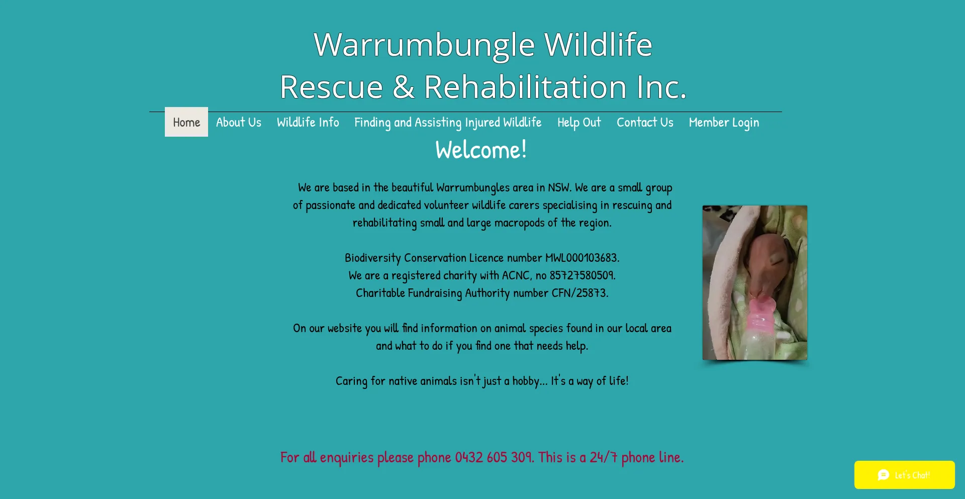 Warrumbunglewildlife.com