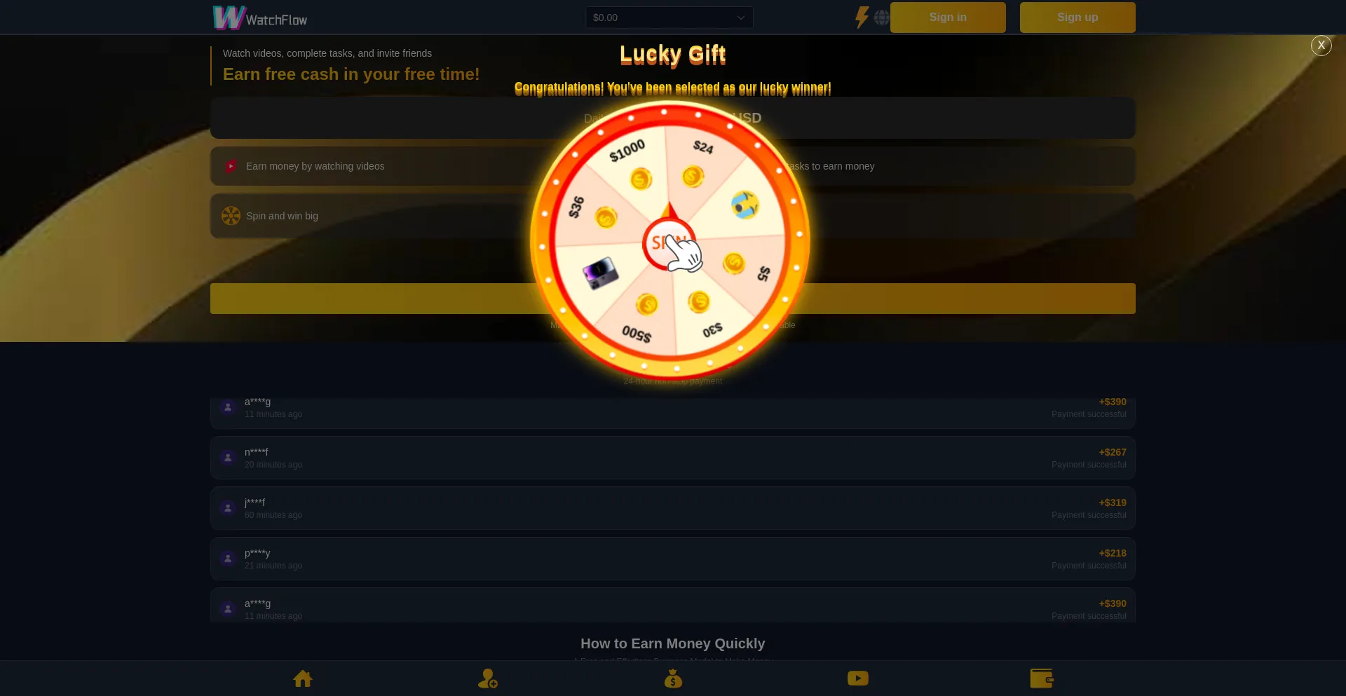 Website screenshot of Watchhflow.buzz