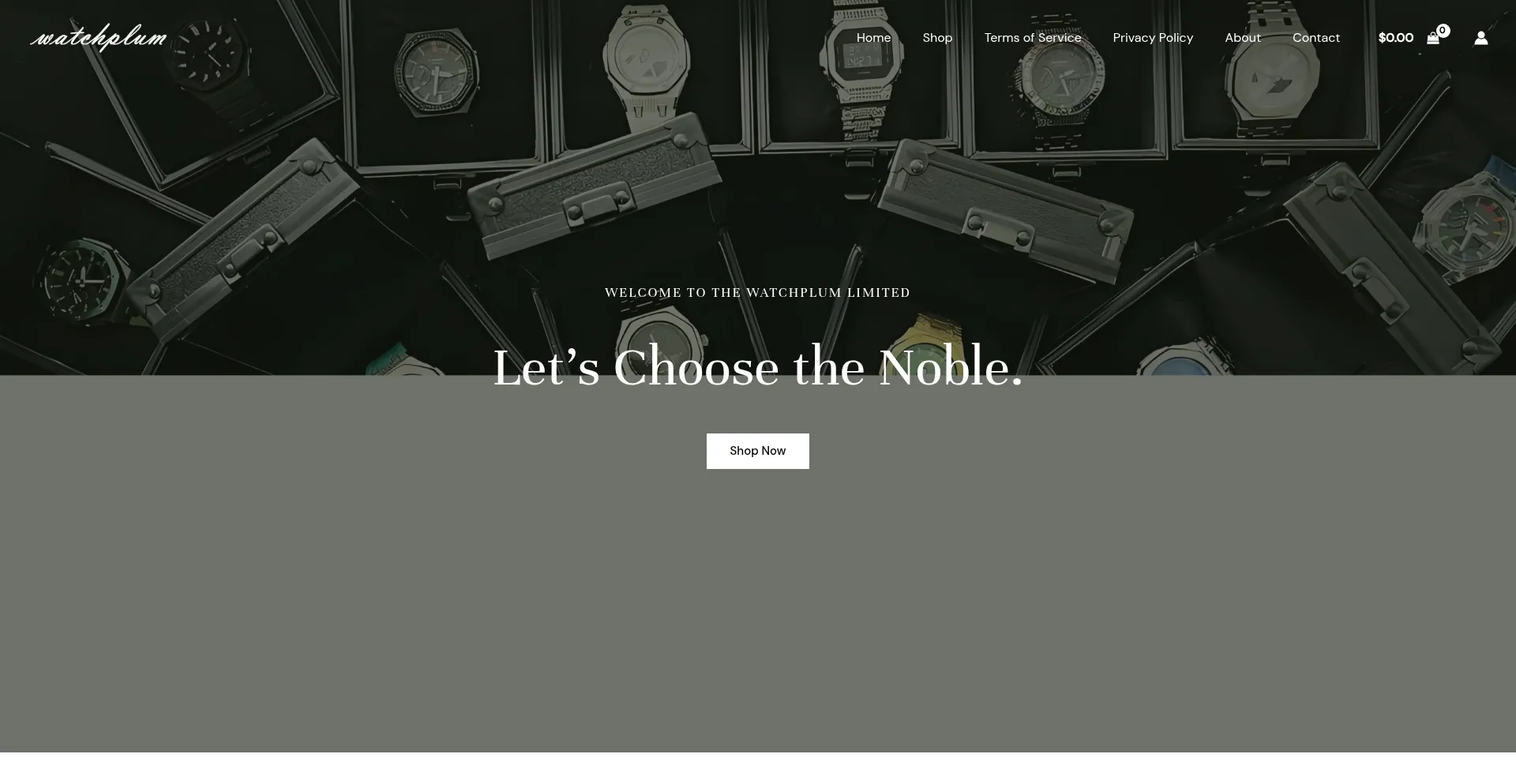 Website screenshot of Watchplum.com