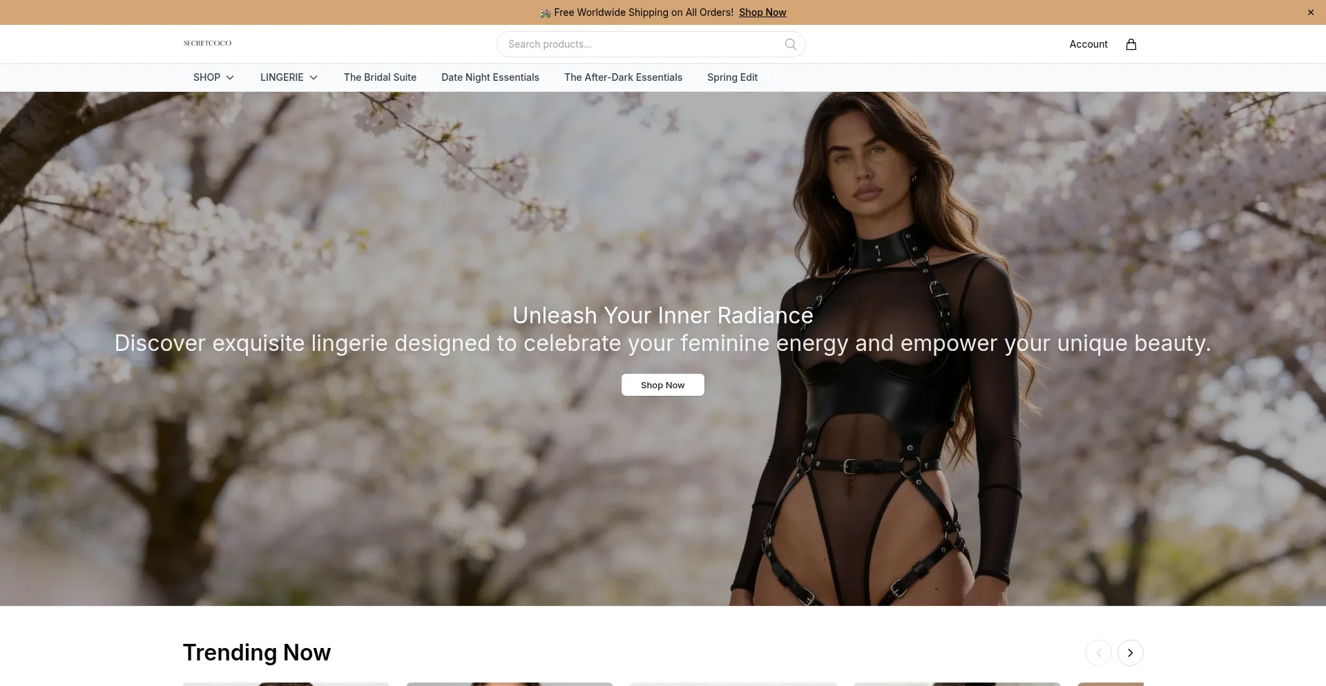 Wearsecretcoco.shop