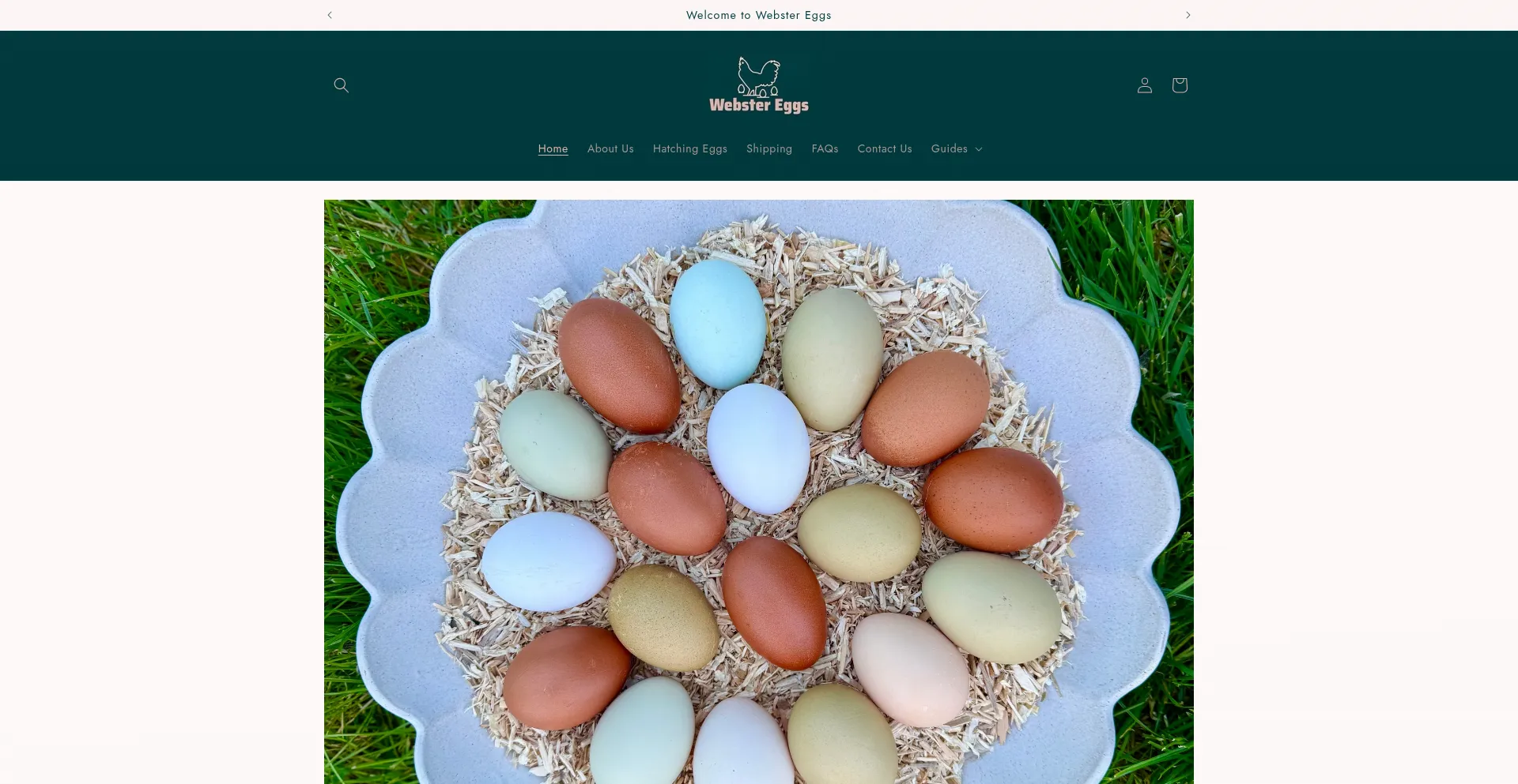 Ist Webstereggs.com sicher und vertrauenswürdig?