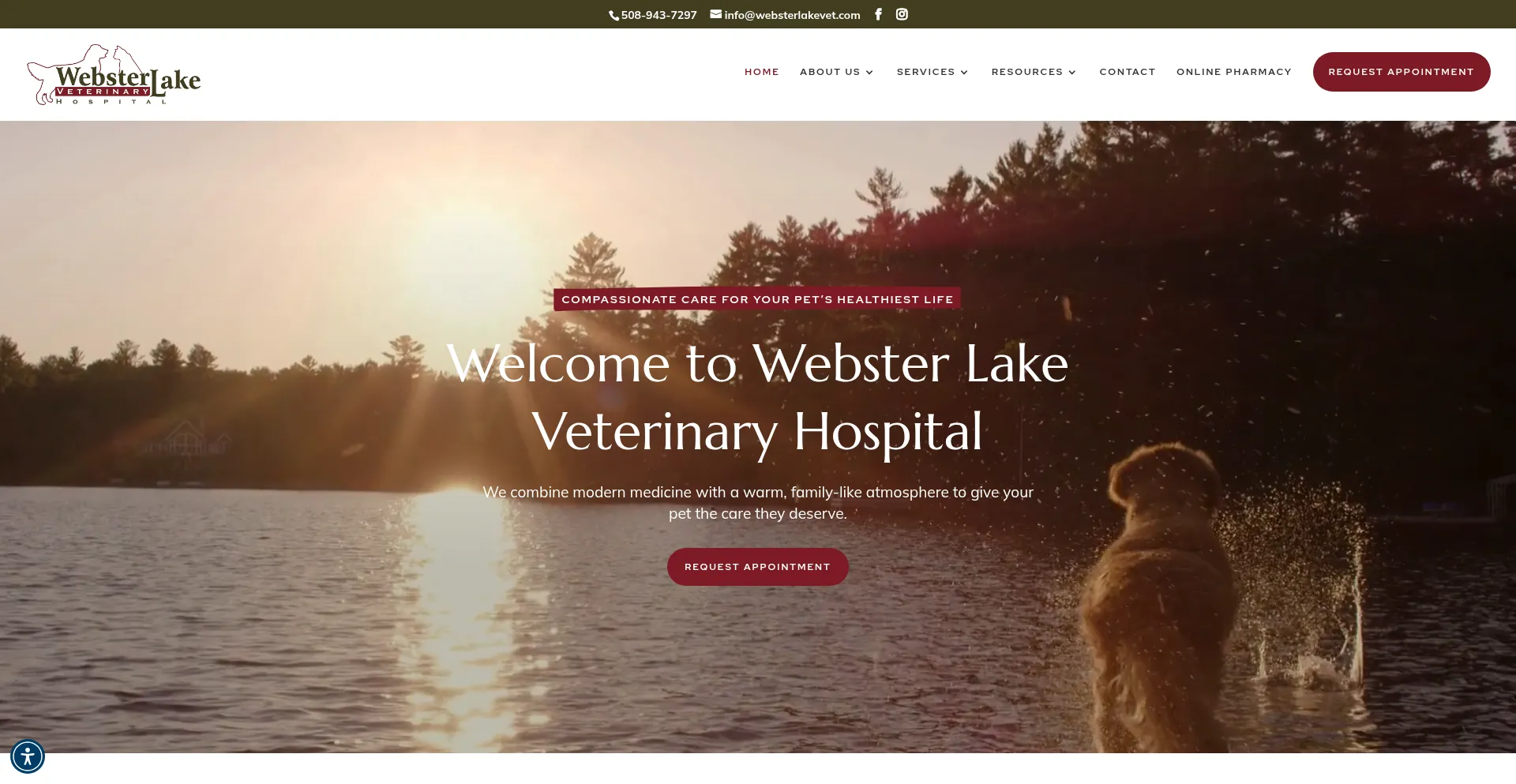Websterlakevet.com