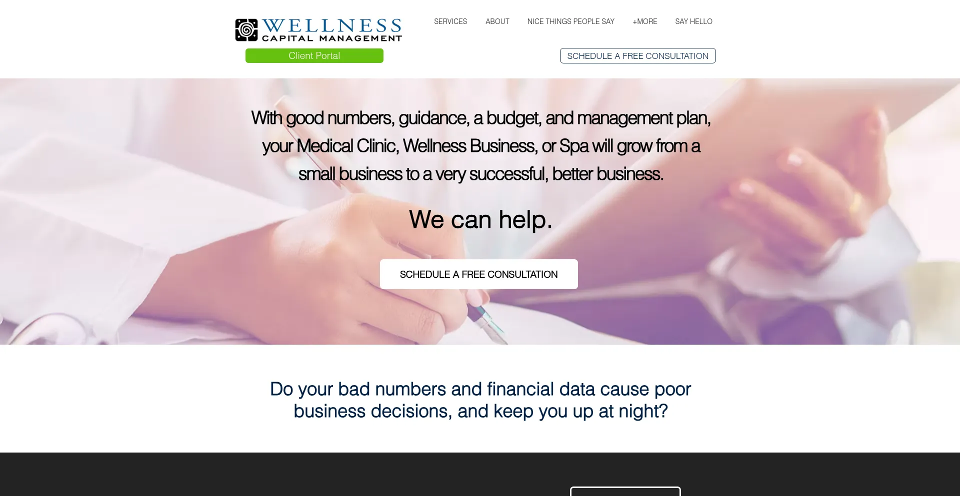 Website screenshot of Wellnesscapital.com