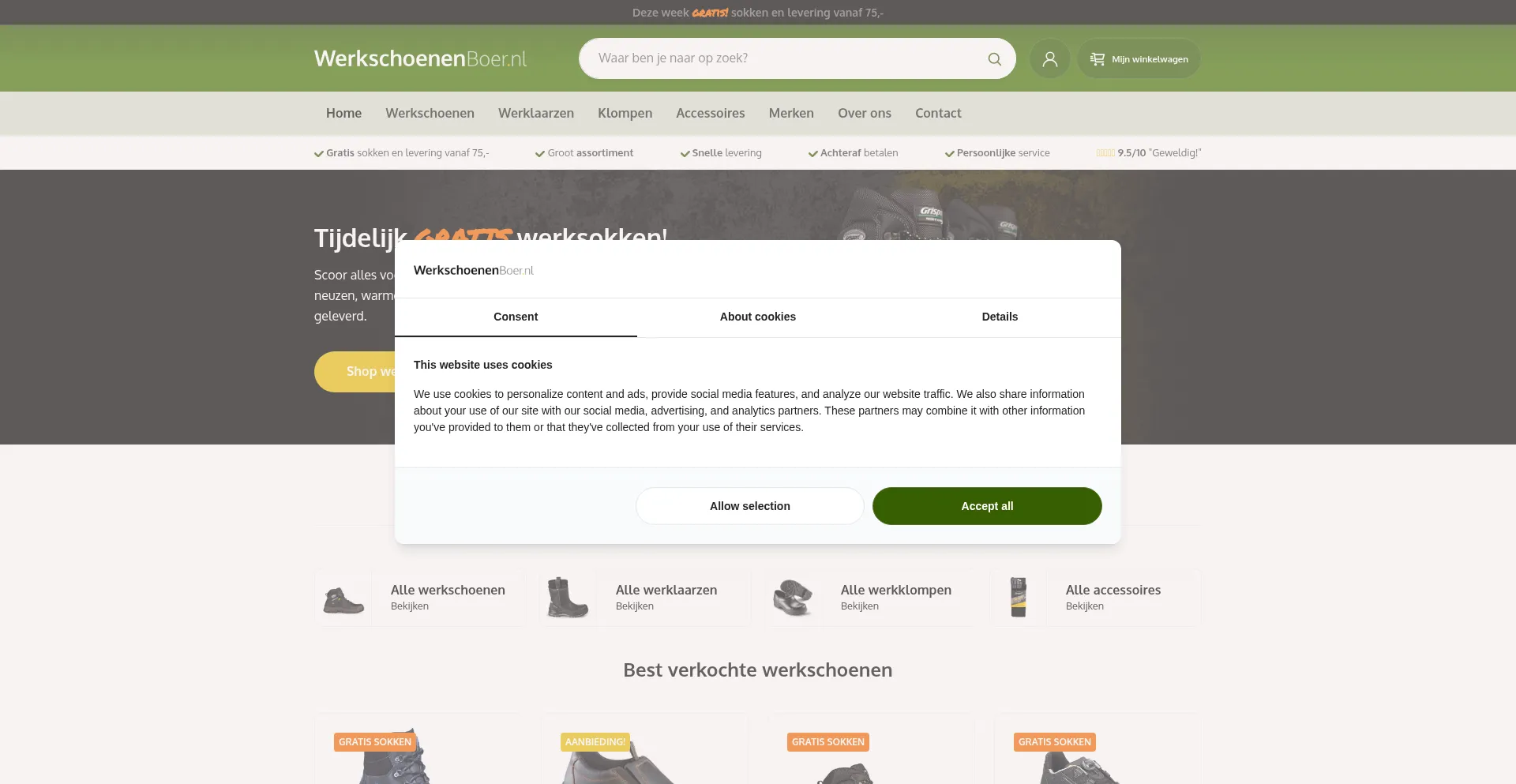 Website screenshot of Werkschoenenboer.nl