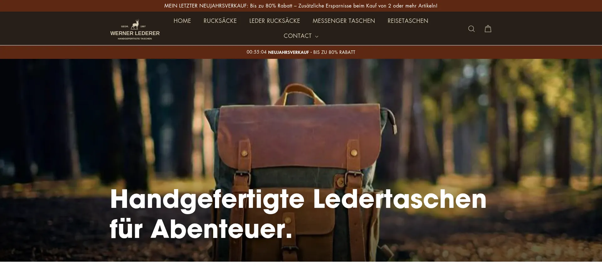 Website screenshot of Werner-lederer.de