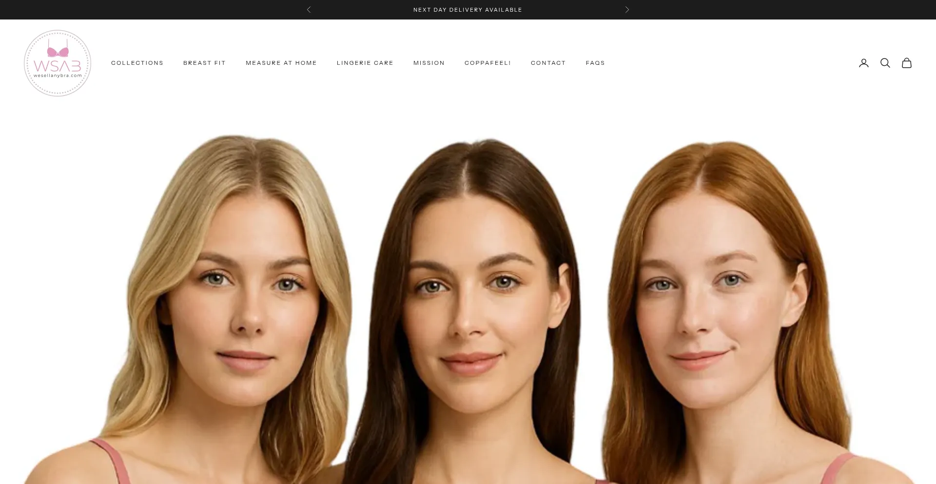 Wesellanybra.com Screenshot