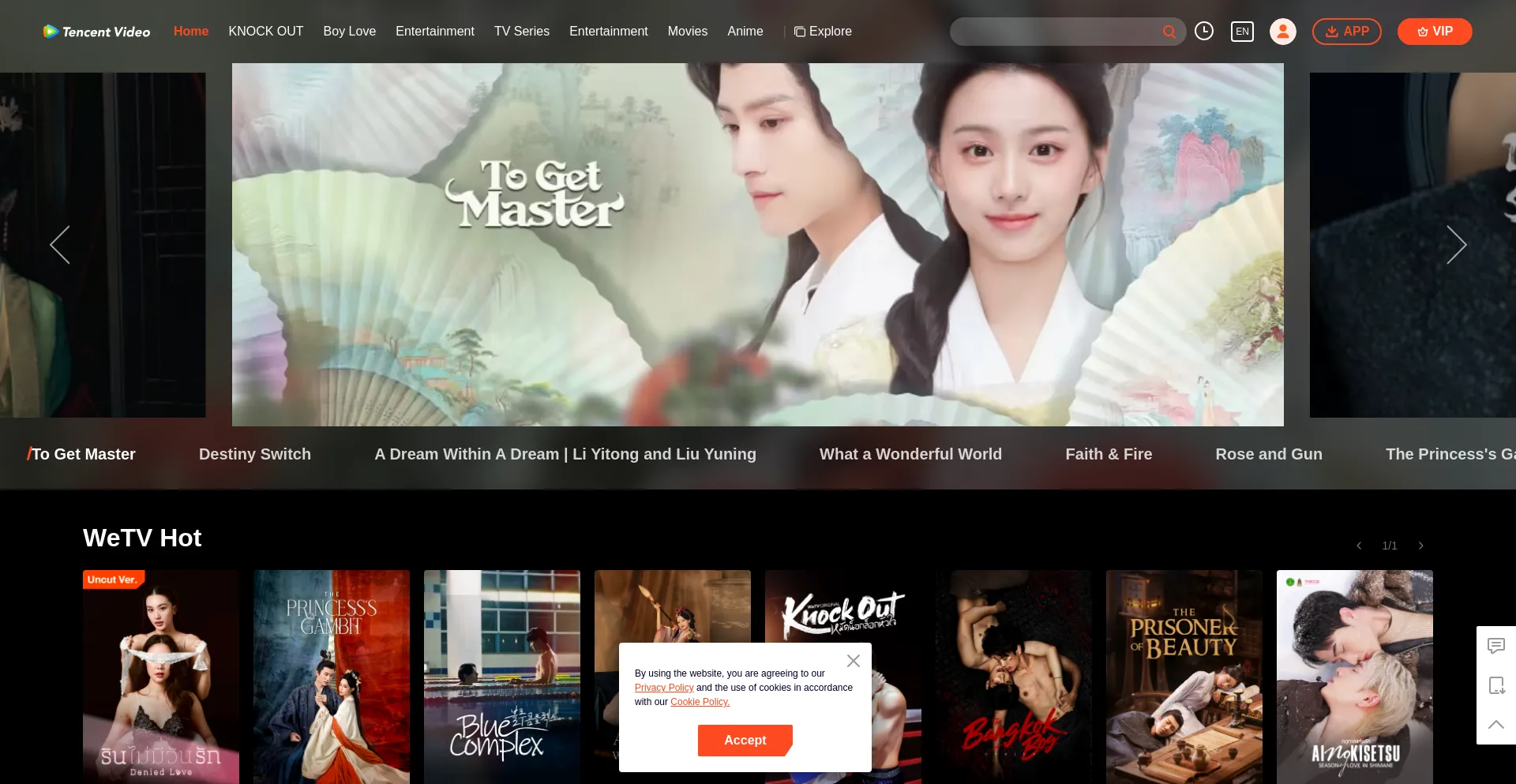 Website screenshot of Wetvinfo.com