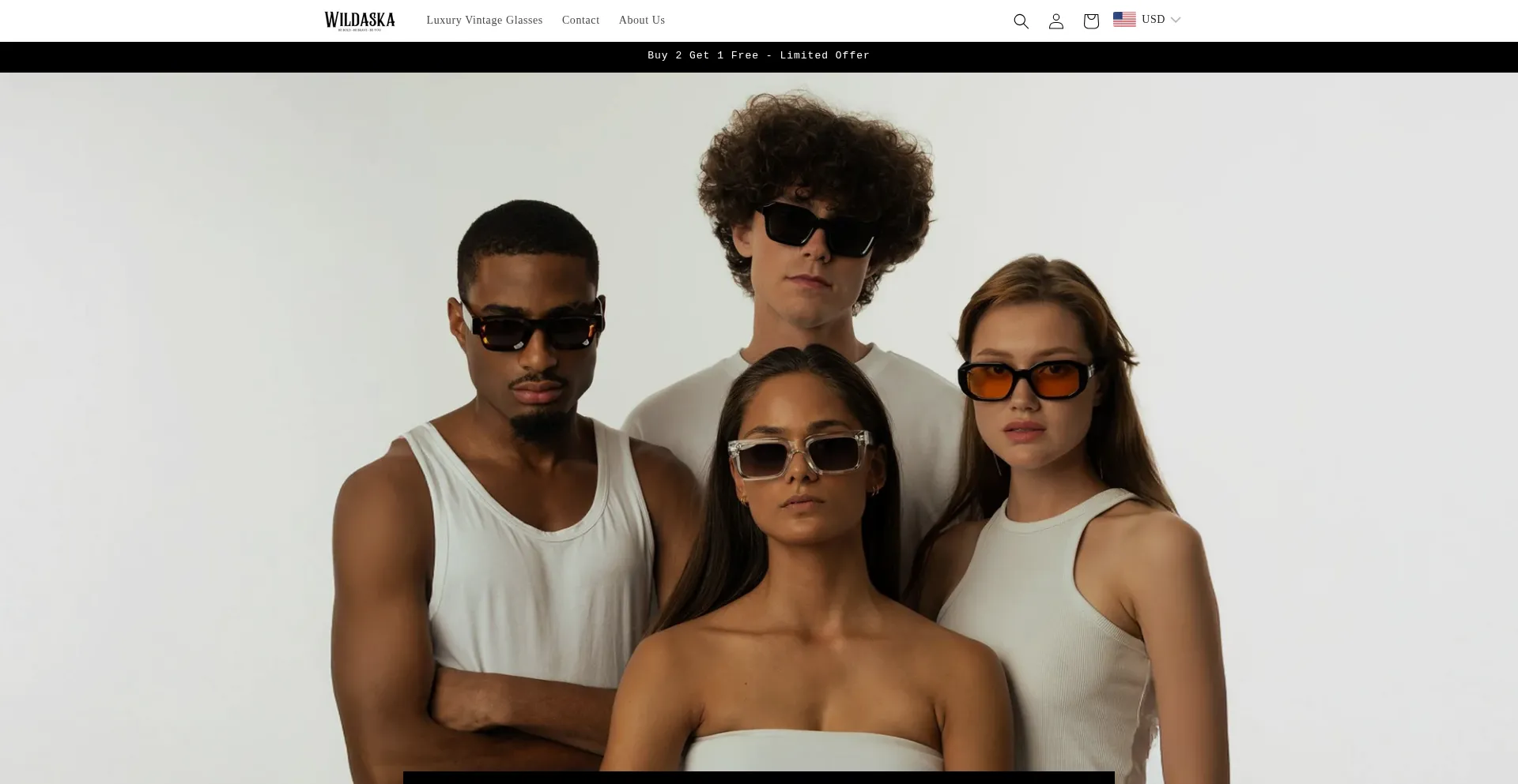 Website screenshot of Wildaska.com