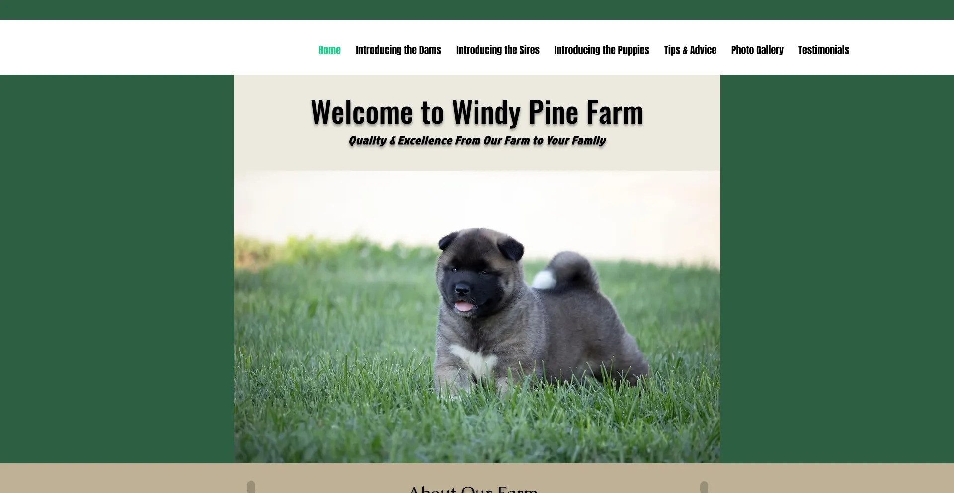 Ist Windypinefarm.com sicher und vertrauenswürdig?