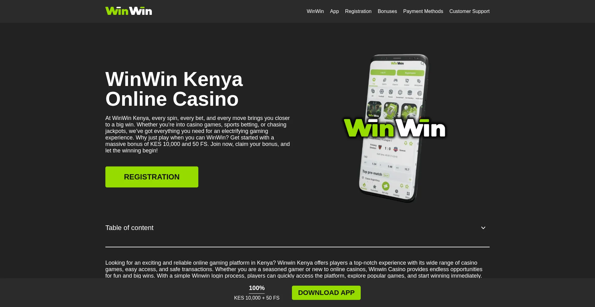 Website screenshot of Winwinke.com