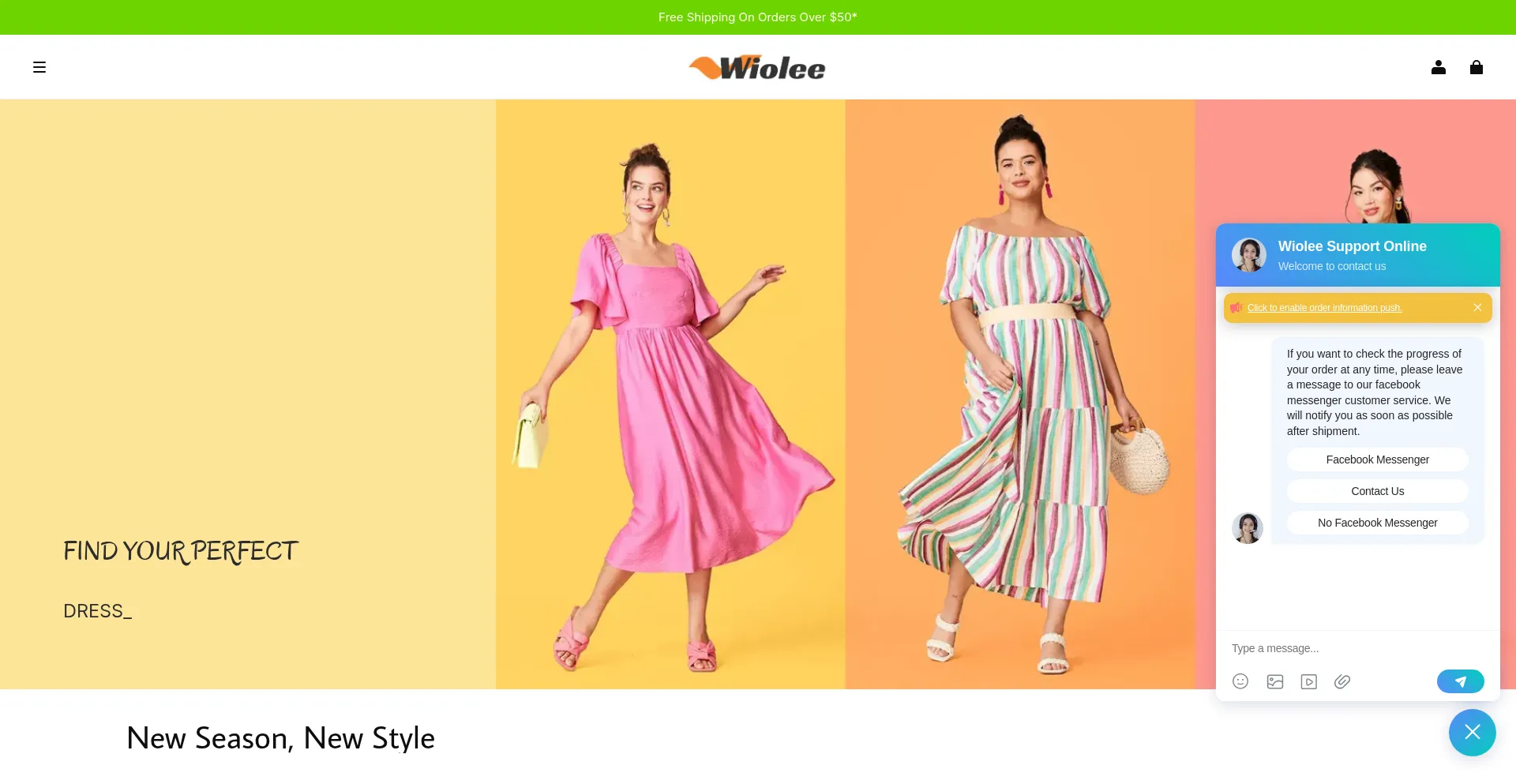 Website screenshot of Wiolee.com