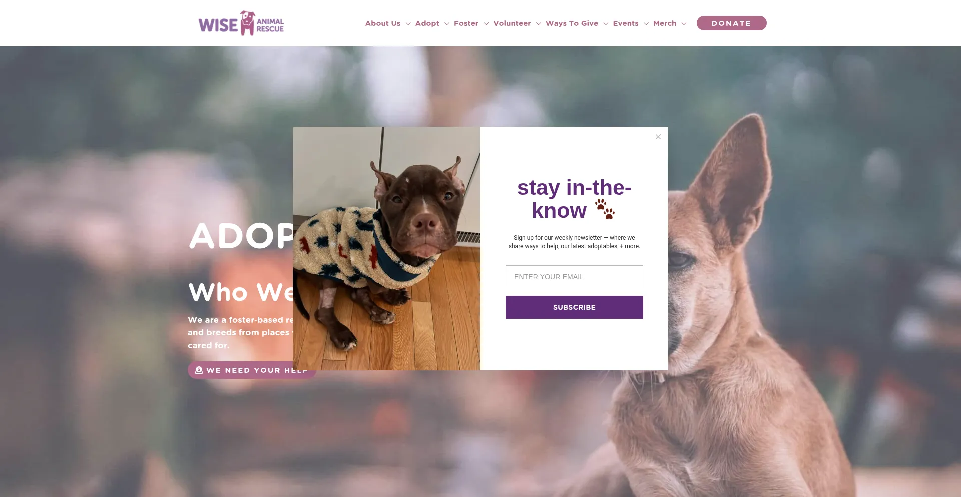 Wiseanimalrescue.org