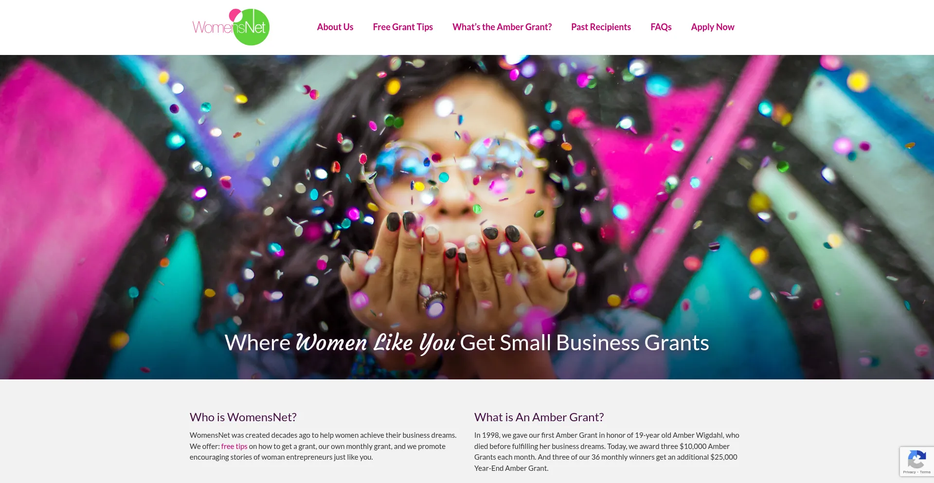 Website screenshot of Womensnet.net