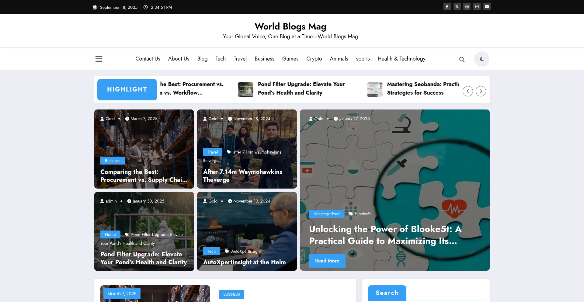 Ist Worldblogsmag.com sicher und vertrauenswürdig?