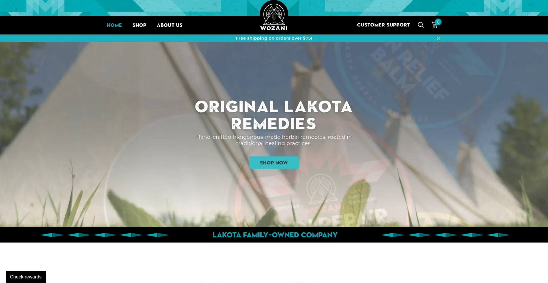 Website screenshot of Wozaniwellness.com