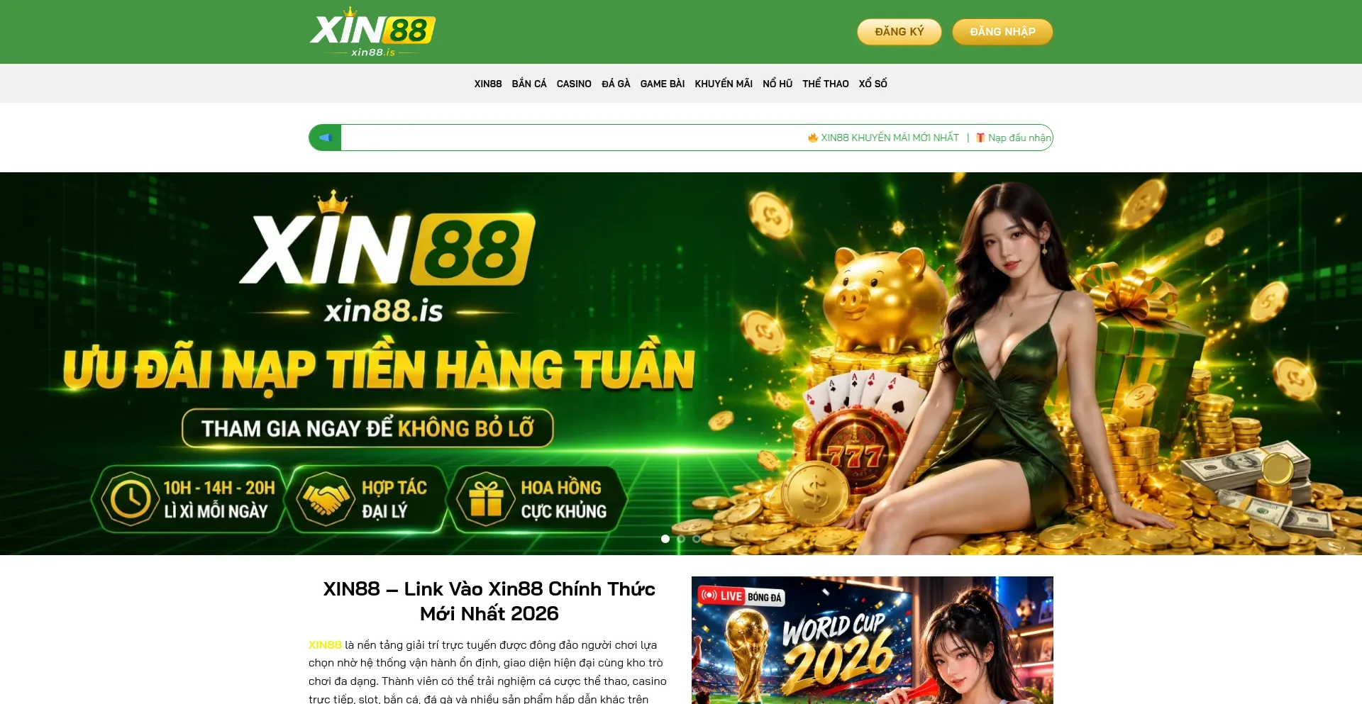 Xin88.is