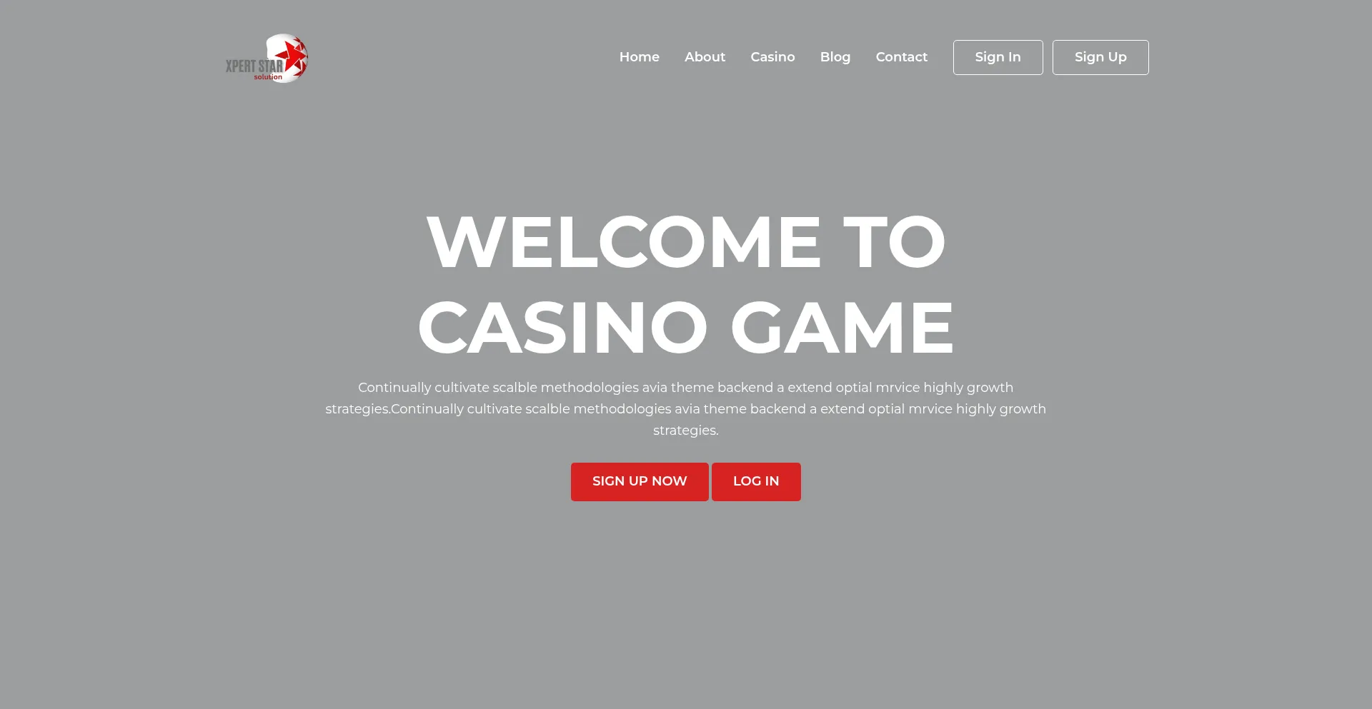 Website screenshot of Xpertstarsolution.com