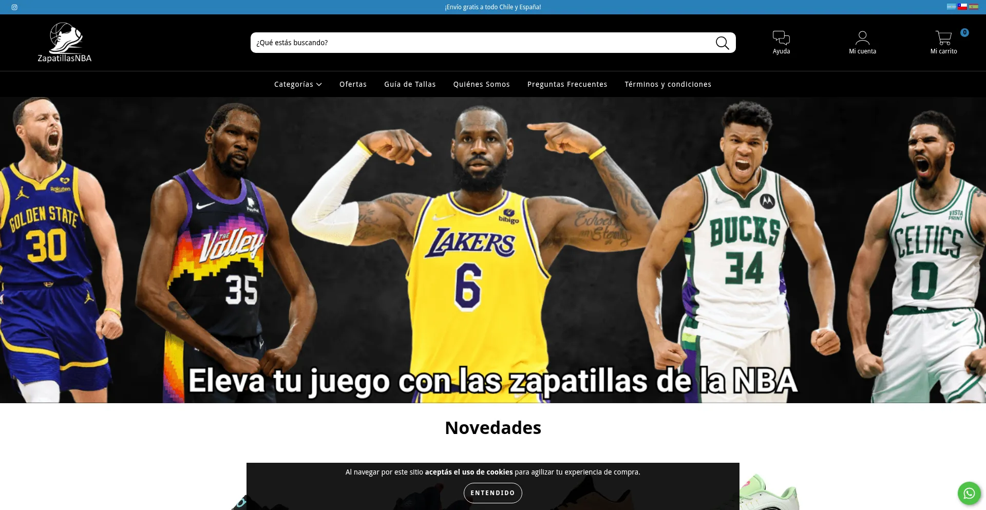 Website screenshot of Zapatillasnba.cl