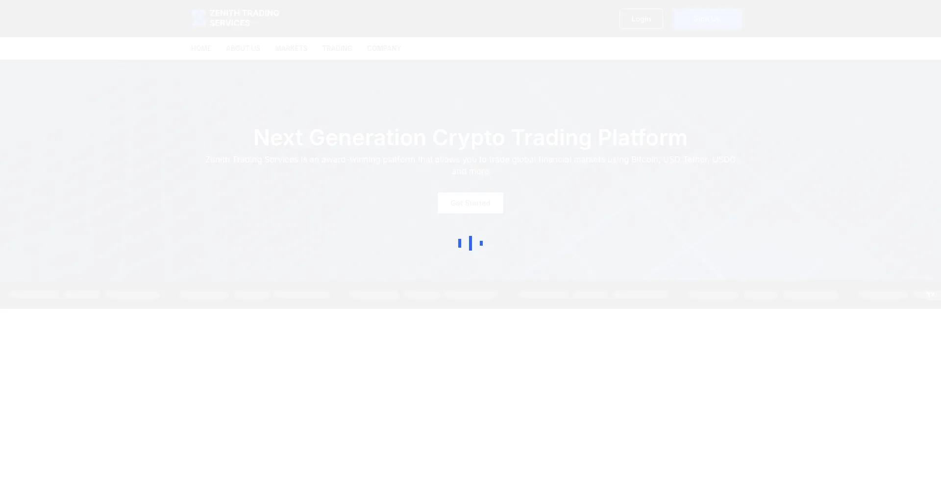 Website screenshot of Zenithtradingservices.com