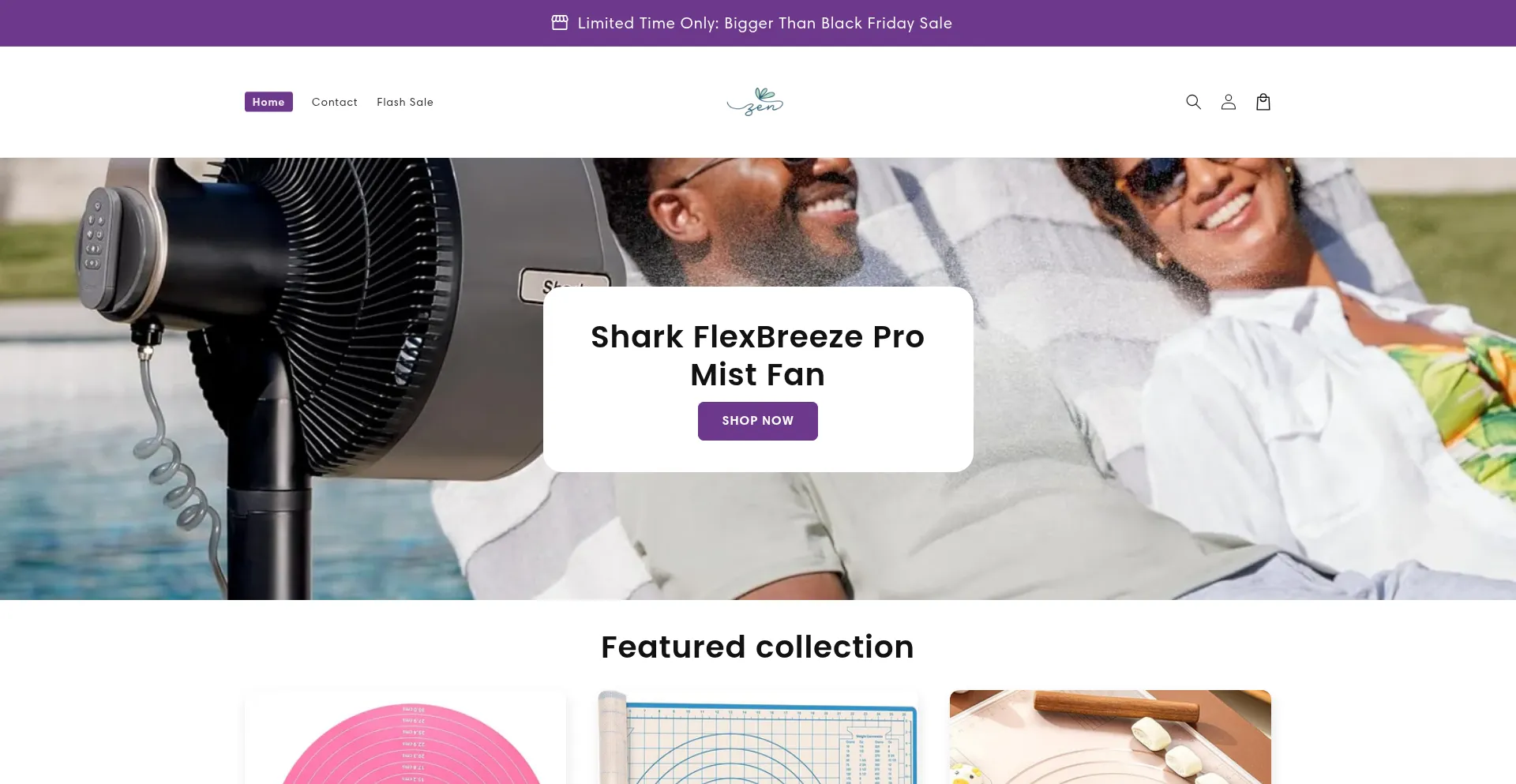 Website screenshot of Zenshoestudio.shop