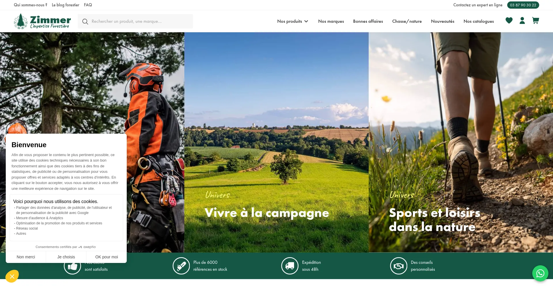 Website screenshot of Zimmersa.com