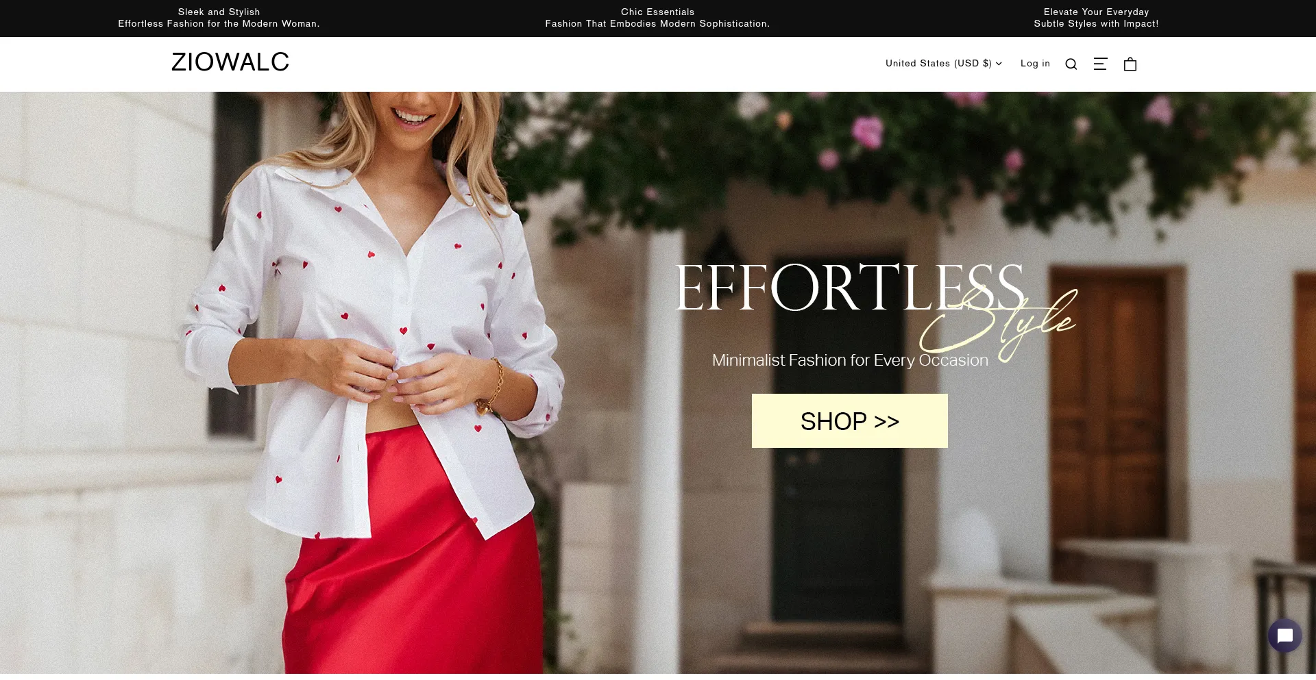 Website screenshot of Ziowalc.com