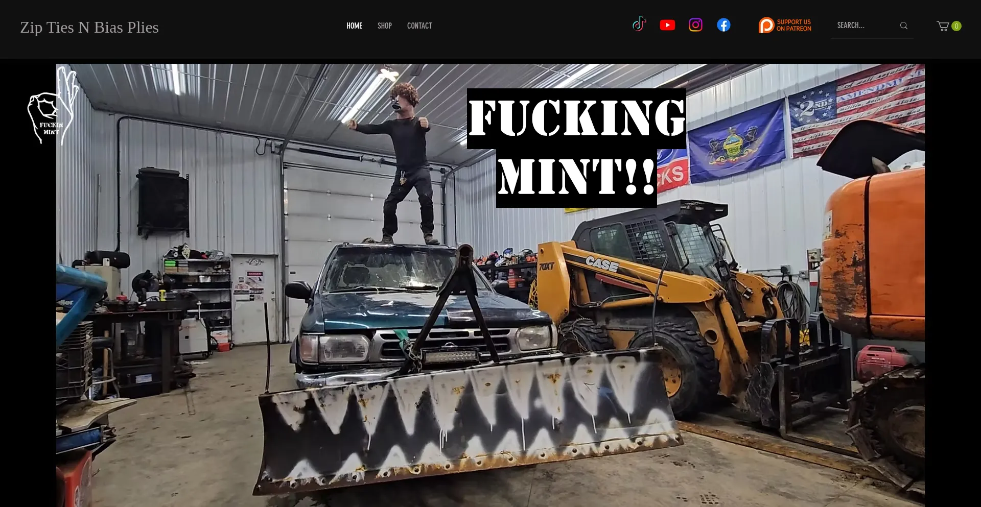 Website screenshot of Ziptiesnbiasplies.com