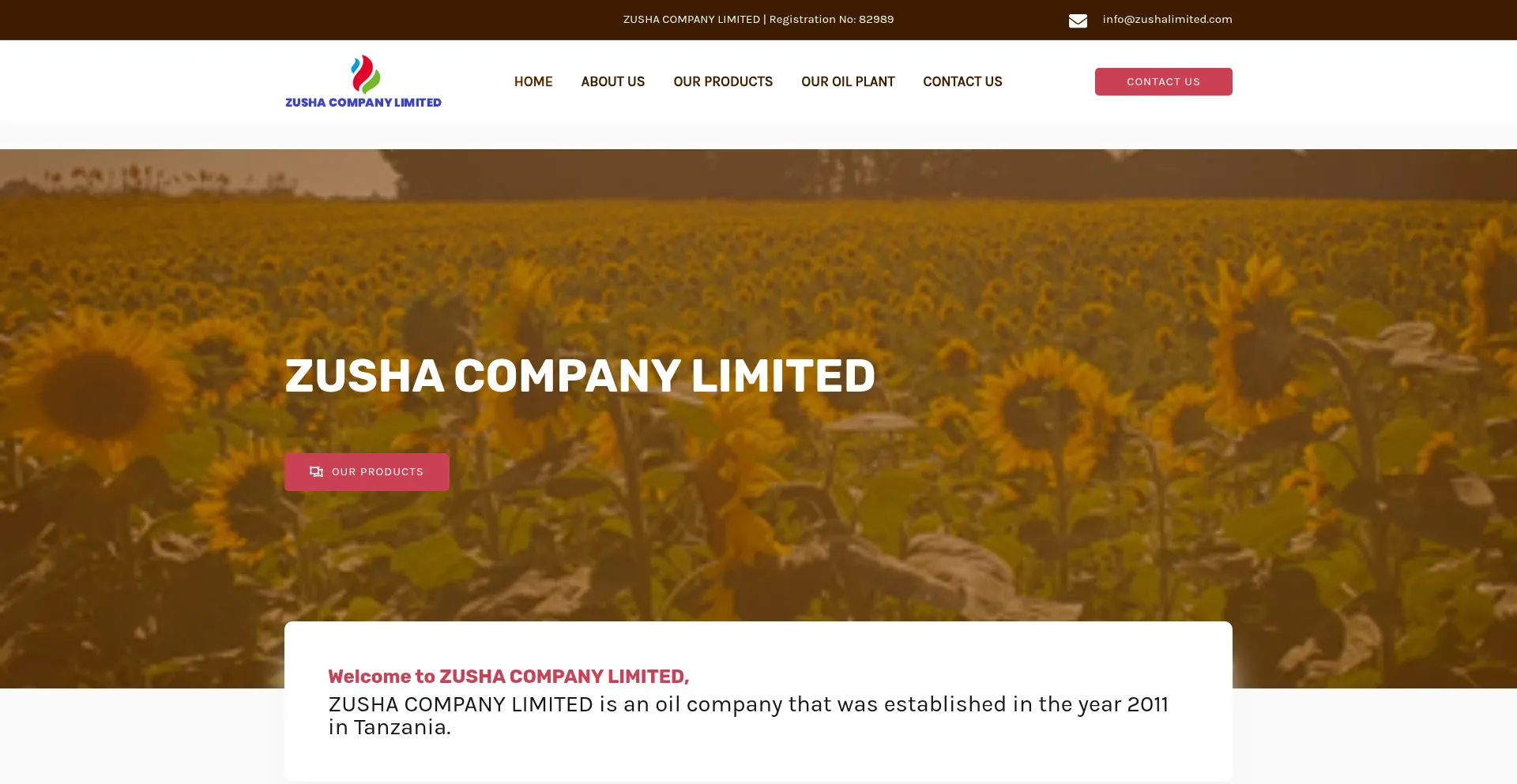 Website screenshot of Zushalimited.com