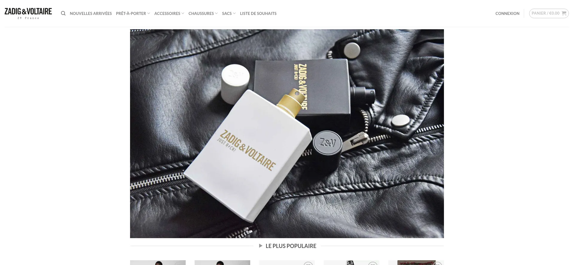 Website screenshot of Zvfrance.com